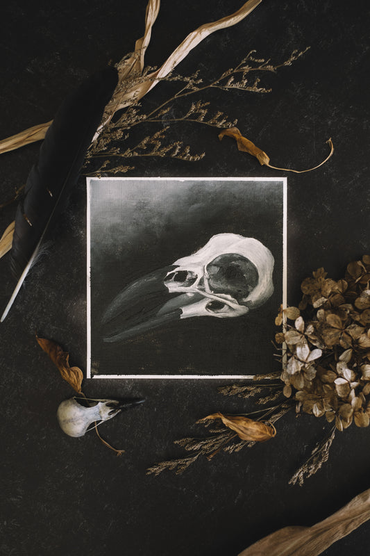 Crow Skull | Original