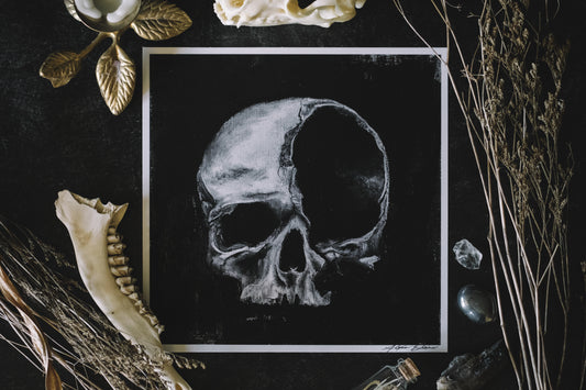 Skull | Print